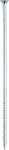 CHPBD-PT-IND-PZ-FRONT.psd